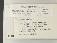 登錄號:F0003851藏品圖，第2張
