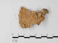 登錄號:F0003851藏品圖，第1張