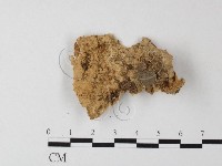 登錄號:F0003851藏品圖，第3張