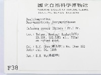 登錄號:F0003852藏品圖，第2張