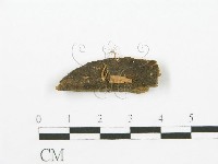 登錄號:F0003852藏品圖，第1張