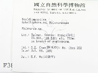 多孔菌屬藏品圖，第2張