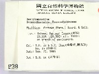 登錄號:F0003858藏品圖，第2張