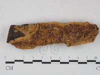 登錄號:F0003859藏品圖，第1張