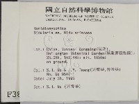 登錄號:F0003860藏品圖，第2張