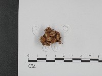 登錄號:F0003860藏品圖，第1張