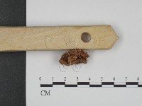 登錄號:F0003860藏品圖，第3張