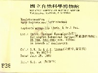 登錄號:F0003861藏品圖，第2張