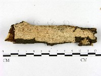 登錄號:F0003861藏品圖，第1張