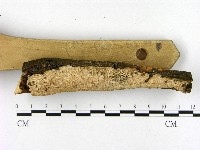 登錄號:F0003861藏品圖，第3張