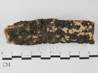 登錄號:F0003863藏品圖，第1張