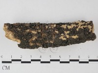 登錄號:F0003863藏品圖，第3張