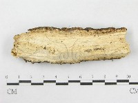 登錄號:F0003863藏品圖，第4張