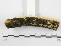 登錄號:F0003863藏品圖，第6張