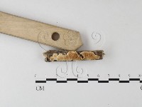 登錄號:F0003864藏品圖，第3張