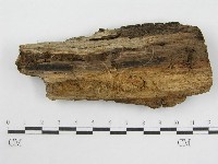 登錄號:F0003865藏品圖，第1張