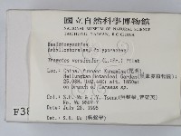 雲芝藏品圖，第2張