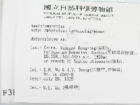 登錄號:F0003867藏品圖，第2張