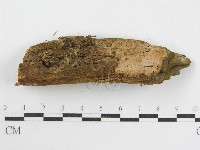 登錄號:F0003867藏品圖，第4張