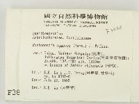 冇骨消絲齒菌藏品圖，第2張