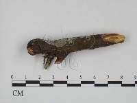登錄號:F0003869藏品圖，第1張
