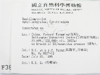 絲皮菌屬藏品圖，第2張