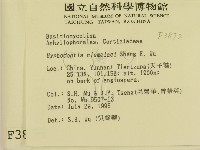 登錄號:F0003872藏品圖，第2張