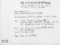 登錄號:F0003873藏品圖，第2張
