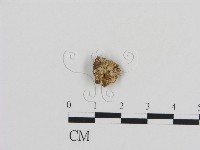 登錄號:F0003875藏品圖，第1張