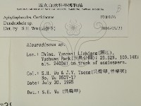 登錄號:F0003876藏品圖，第2張