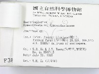 登錄號:F0003877藏品圖，第3張