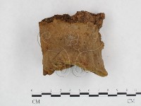 登錄號:F0003877藏品圖，第4張