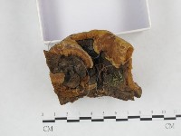 登錄號:F0003877藏品圖，第5張