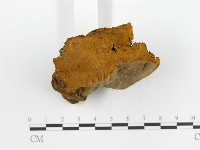 登錄號:F0003877藏品圖，第6張