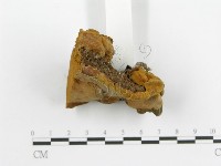 登錄號:F0003877藏品圖，第7張