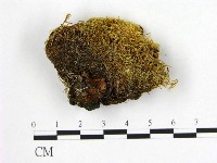 登錄號:F0003879藏品圖，第3張