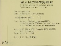 登錄號:F0003880藏品圖，第2張