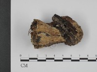 登錄號:F0003882藏品圖，第1張