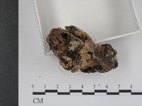 登錄號:F0003882藏品圖，第4張