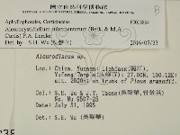 登錄號:F0003884藏品圖，第2張