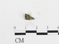 登錄號:F0003884藏品圖，第3張