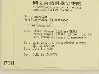 登錄號:F0003885藏品圖，第2張
