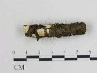 登錄號:F0003885藏品圖，第1張