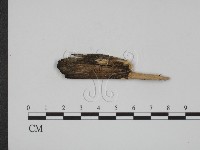 登錄號:F0003886藏品圖，第3張