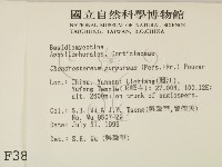 登錄號:F0003887藏品圖，第2張