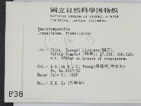 登錄號:F0003889藏品圖，第2張