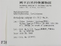 登錄號:F0003890藏品圖，第2張