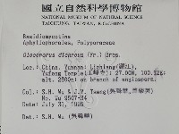 登錄號:F0003891藏品圖，第2張