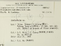 登錄號:F0003892藏品圖，第2張