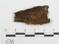 登錄號:F0003892藏品圖，第3張